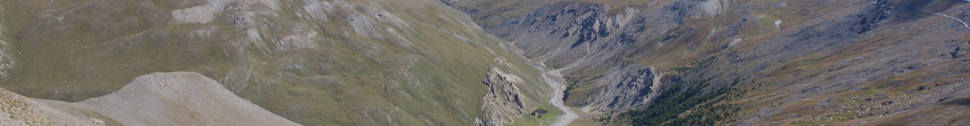 Handeln nach bestem Wissen und Gewissen