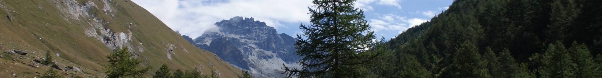 Kontemplation und andere Übungen zur gesteigerten Achtsamkeit