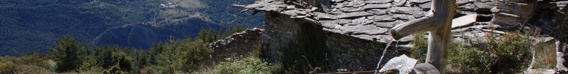 Ja zu Emotionen -solange wir in Beziehung bleiben!