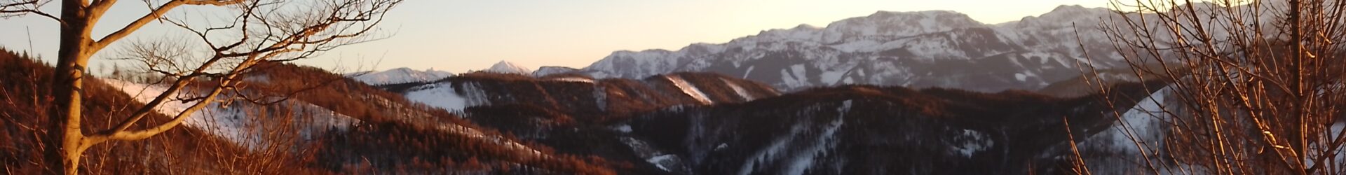 Die Module spielen verrückt