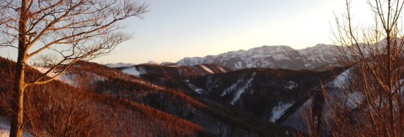 Die Module spielen verrückt