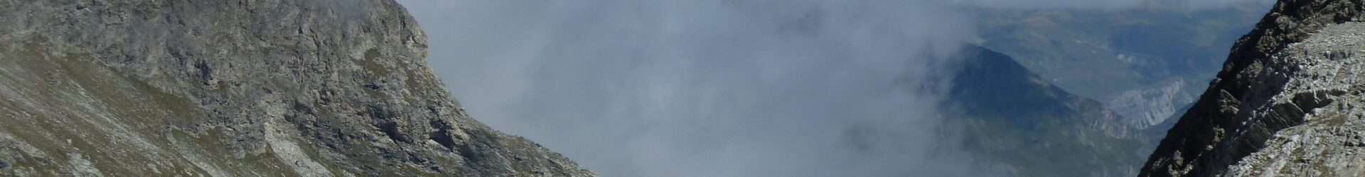 Zauberlehrling oder Hexenmeister?