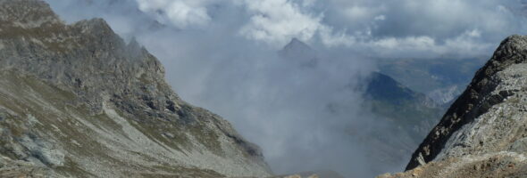 Zauberlehrling oder Hexenmeister?