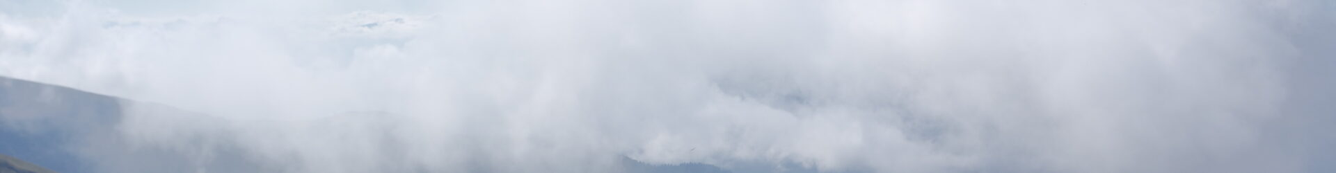 Flexibilität ist eine Haltung