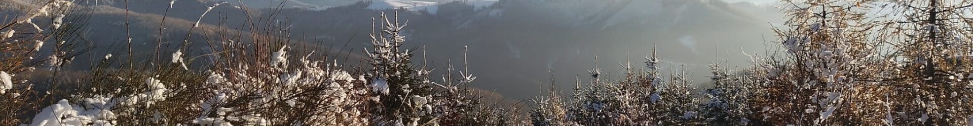 Einfach geradeheraus oder durch die Blume?