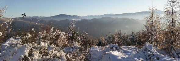 Einfach geradeheraus oder durch die Blume?