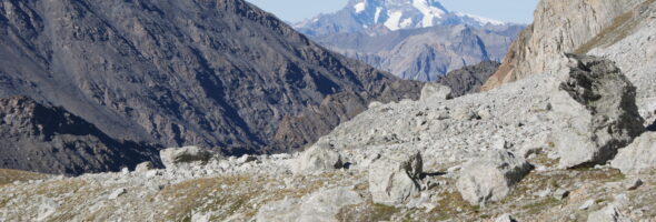 Sich selbst und dem Leben vertrauen