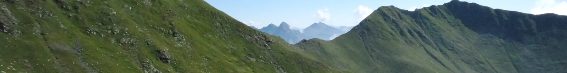 Sind Träume nur Schäume?