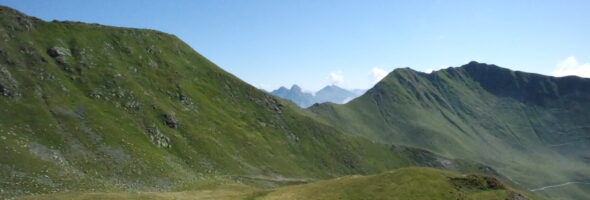 Sind Träume nur Schäume?