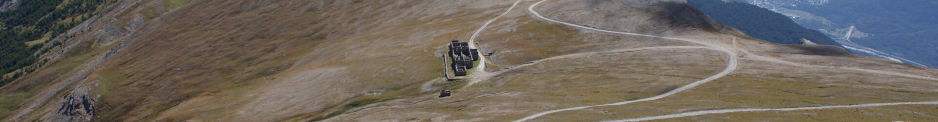 Selbstführung als Lösung?