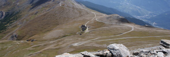 Selbstführung als Lösung?