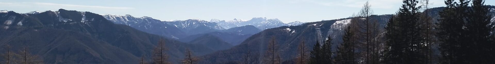 Durch Aggression weiten wir unseren Horizont