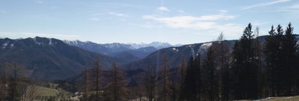 Durch Aggression weiten wir unseren Horizont