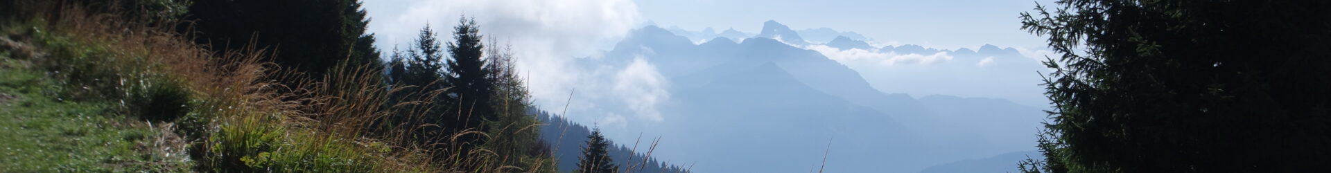 Gefühle ergründen