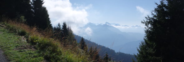 Gefühle ergründen